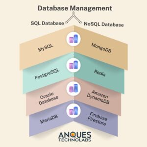 Database structure as part of the main components of web development